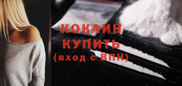 спиды Бородино