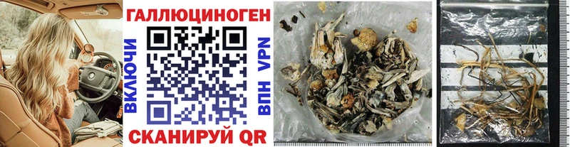 где продают наркотики  Тобольск  мега зеркало  Псилоцибиновые грибы MAGIC MUSHROOMS 